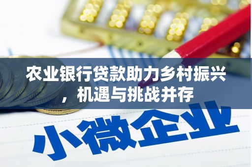 中区农业银行贷款助力乡村振兴，机遇与挑战并存