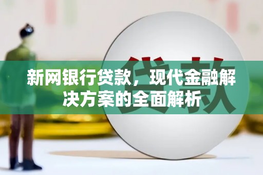 乐清新网银行贷款，现代金融解决方案的全面解析