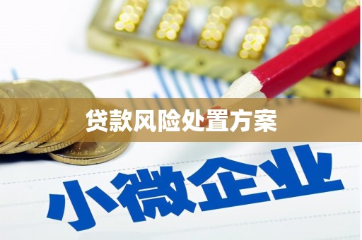 鸡泽贷款风险处置方案