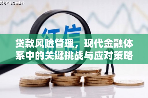 瓜州贷款风险管理，现代金融体系中的关键挑战与应对策略