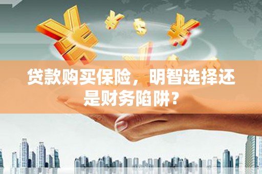 利辛贷款购买保险，明智选择还是财务陷阱？