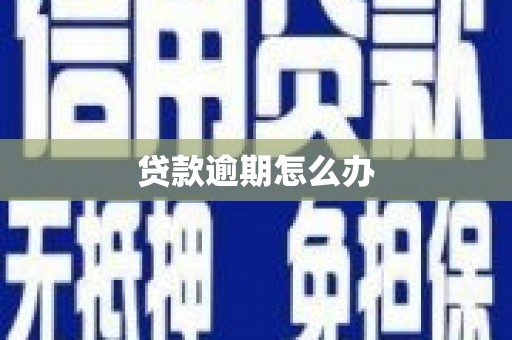 金牛贷款逾期怎么办