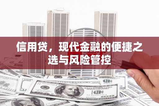 灌南信用贷，现代金融的便捷之选与风险管控