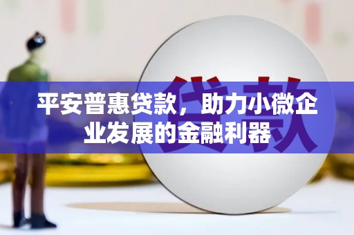 抚远平安普惠贷款，助力小微企业发展的金融利器