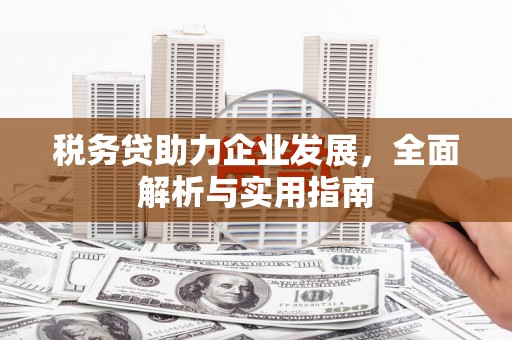 铜梁税务贷助力企业发展，全面解析与实用指南