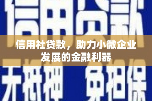 武陵源信用社贷款，助力小微企业发展的金融利器