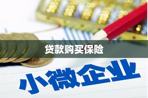 惠城贷款购买保险