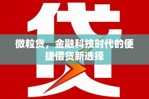 昭阳微粒贷，金融科技时代的便捷借贷新选择