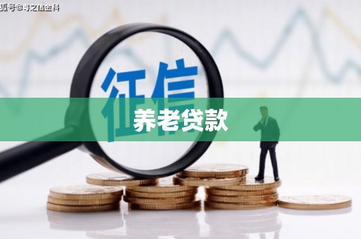 文成养老贷款