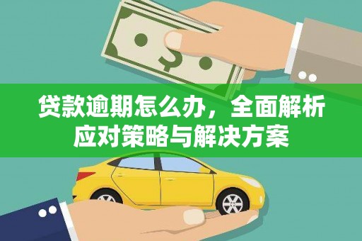昌邑贷款逾期怎么办，全面解析应对策略与解决方案