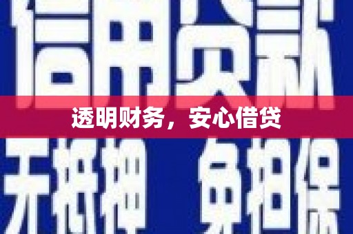 永靖透明财务，安心借贷