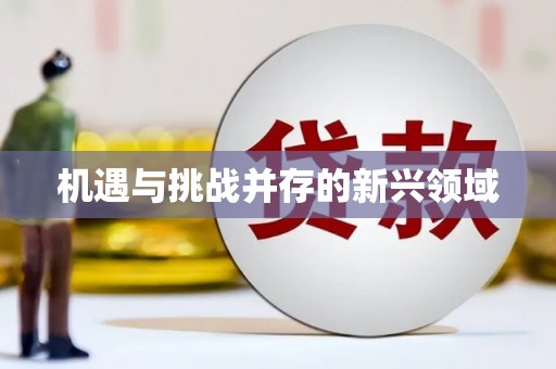 措勤机遇与挑战并存的新兴领域