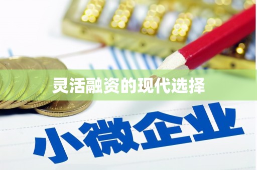 含山灵活融资的现代选择