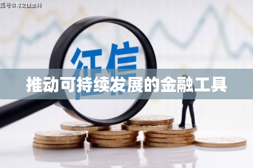 荣县推动可持续发展的金融工具