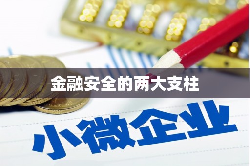 琼中金融安全的两大支柱