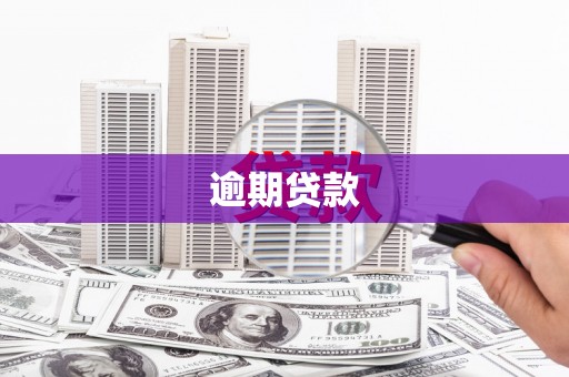 偃师逾期贷款